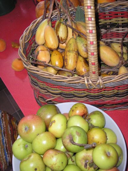 Peninsula banana passionfruit and apples