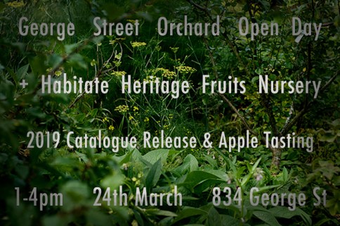 2019-GSO-&amp;-Habitate-Open-Day