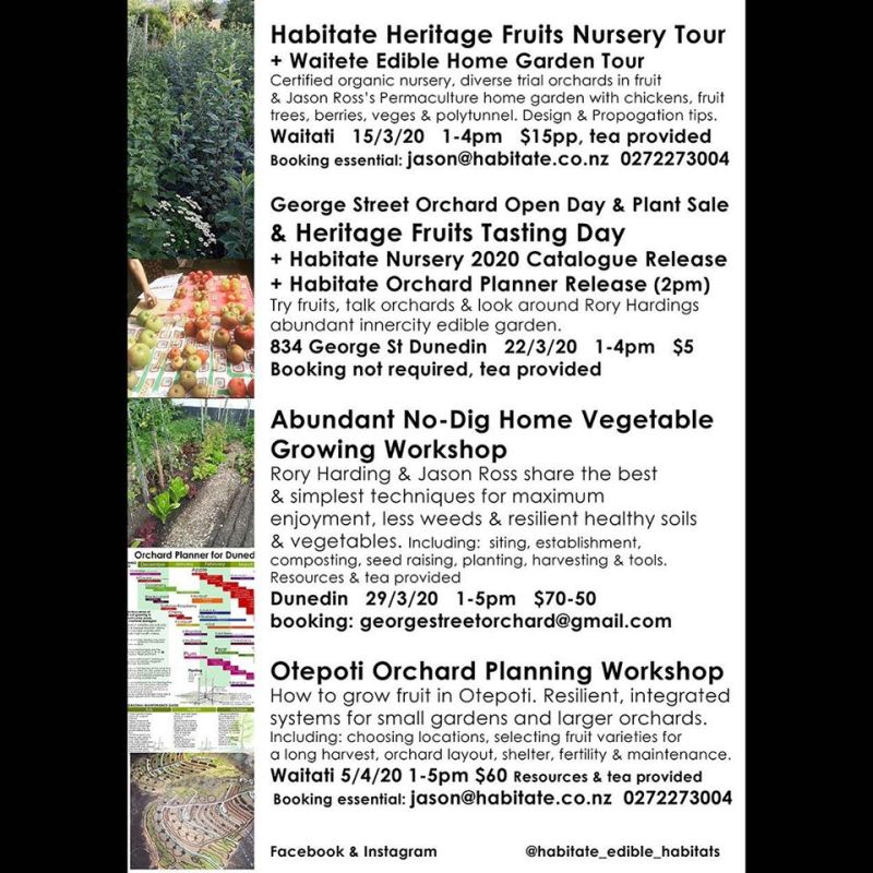 89181184_1046578942377776_7602601497041305600_o